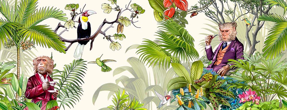 Monkey Hintergrundtapete