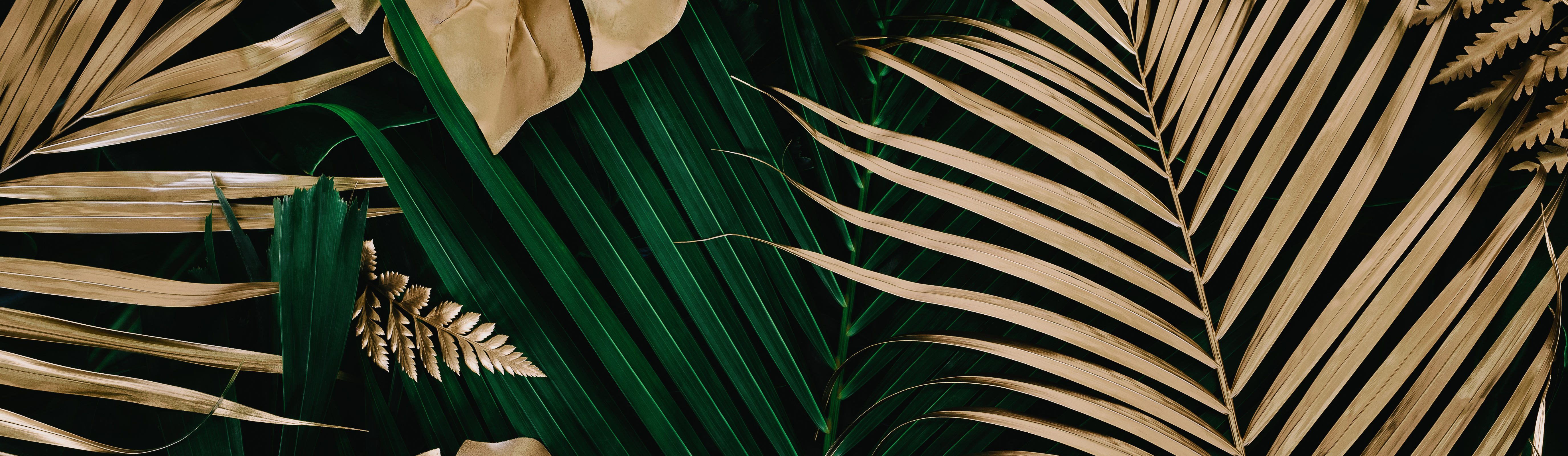 Palmenblätter
